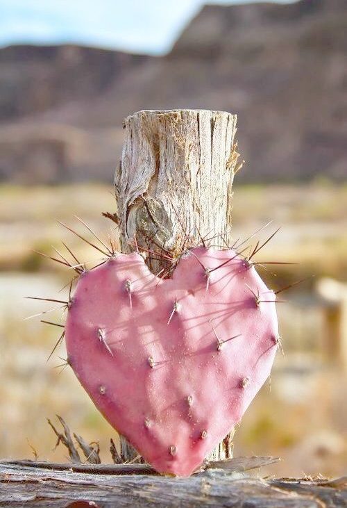 come trovare l'amore secondo l’oroscopo cinese