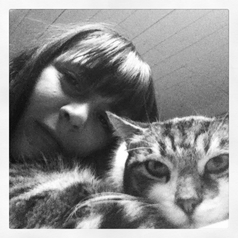 oroscopo in pigiama gatti 22 febbraio