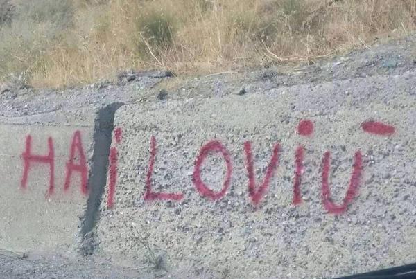 oroscopo in pigiama proprietà intellettuale