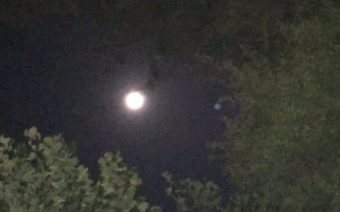 luna piena in acquario 7 agosto