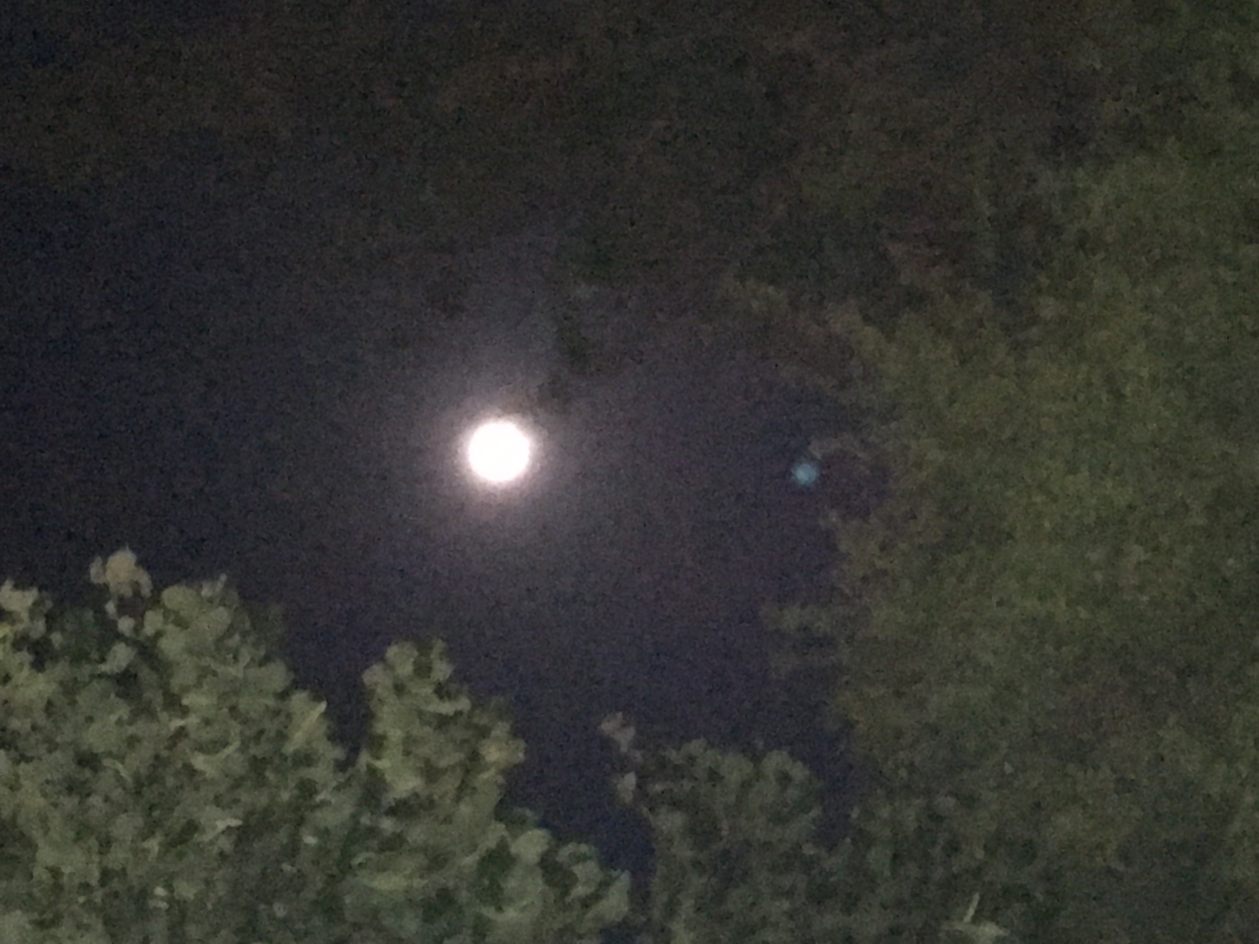 luna piena in acquario 7 agosto