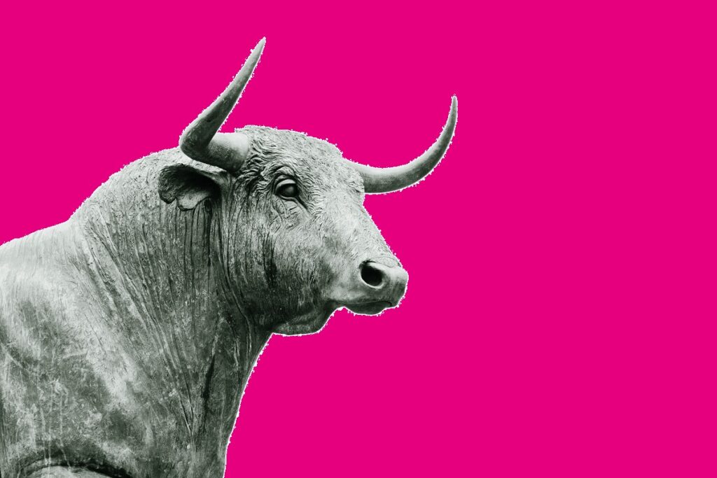 toro